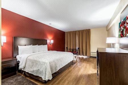 Red Roof Plus+ & Suites Houston - IAH Airport SW - 13