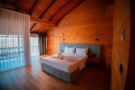 Shpija e Gjyshit - 41