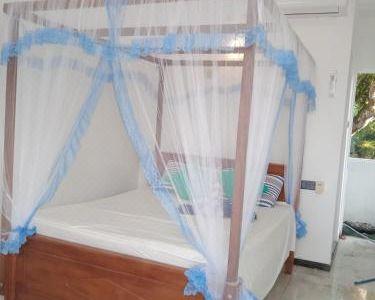 Moon Light Guest - 4