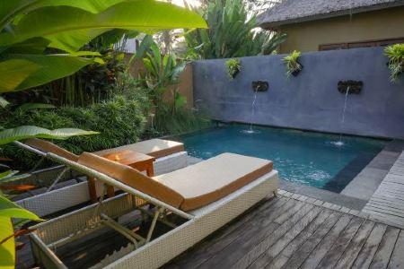 The Sankara Resort & Spa - 50