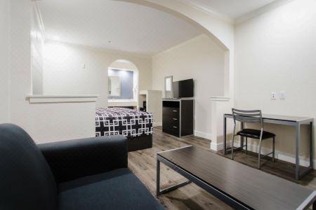 Palace Inn TX-249 - 80
