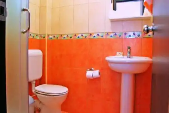 House Ivana Vuksanovic - 79