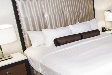 Hilton Niagara Falls/ Fallsview and Suites - 132