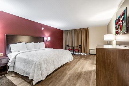 Red Roof Plus+ & Suites Houston - IAH Airport SW - 1