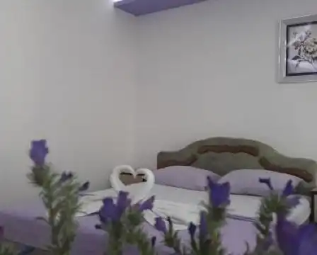 Guesthouse Oaza Emi - 42