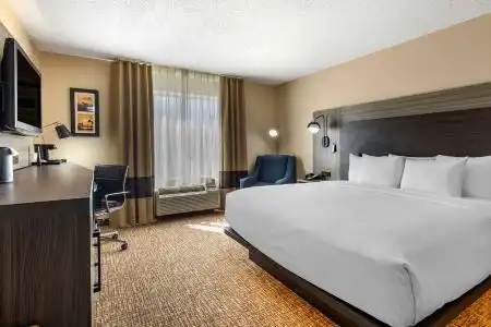 Comfort Inn & Suites North Dallas-Addison - 10