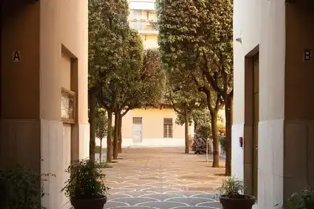 White Vatican - 6
