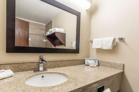 Red Roof Plus+ & Suites Houston - IAH Airport SW - 24