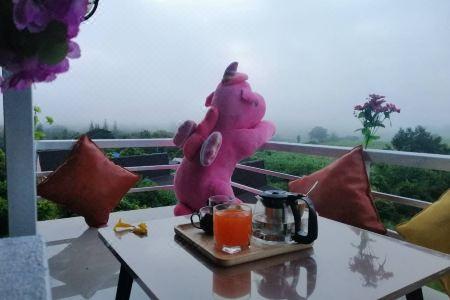 Ingmhok Country Mountain View Resort - 85