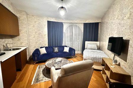 Sabi̇ha Gokcen İstanbul House - 19