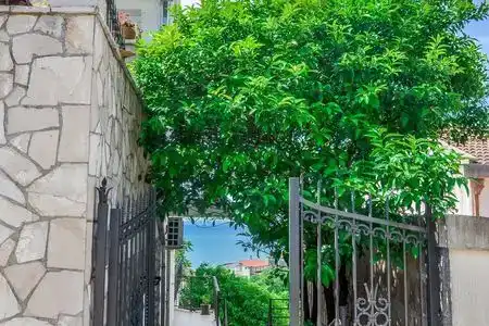 Apartments Cejovic - 2