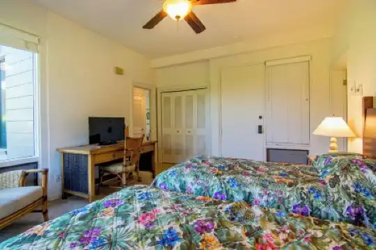 Kapalua Villas Maui - 214