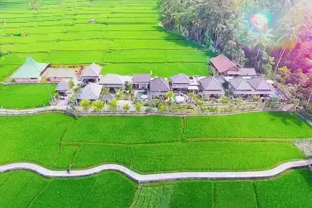 Villa JJ and Spa Ubud - 0