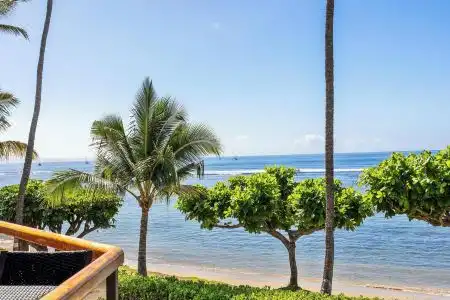 Puunoa  - CoralTree Residence Collection - 65