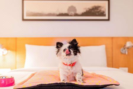Ibis Montpellier Sud - 91