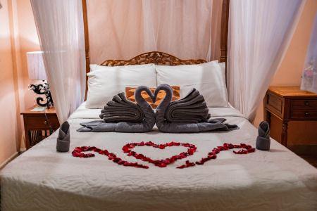Honeymoon Guesthouse - 155