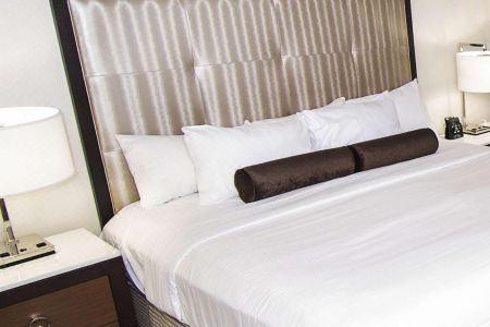 Hilton Niagara Falls/ Fallsview and Suites - 111