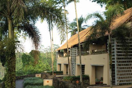 Alila Ubud - 99
