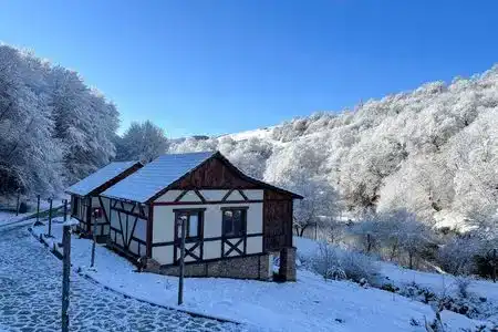 Dilijan Nature Cottage - 5