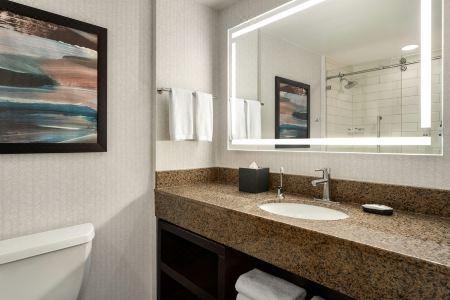 Embassy Suites by Hilton Atlanta at Centennial Olympic Park - 35