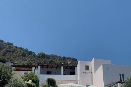 Halgoduria - 3