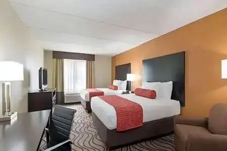 Comfort Inn & Suites Tampa North I-75 - 10