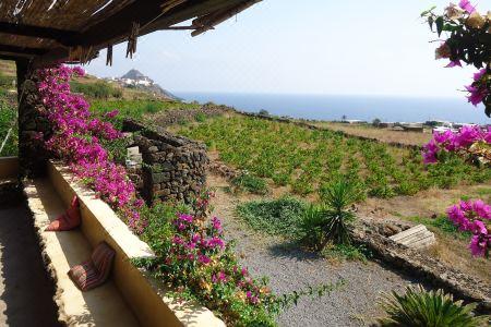 Agriturismo Zibibbodoro - 7