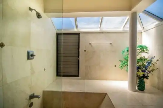 Kapalua Villas Maui - 181