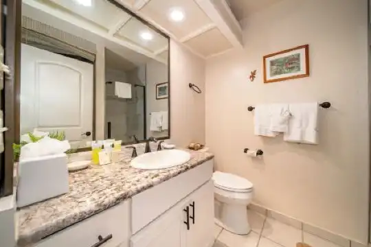 Kapalua Villas Maui - 351