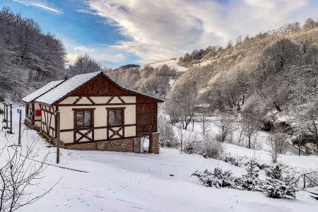 Dilijan Nature Cottage - 0