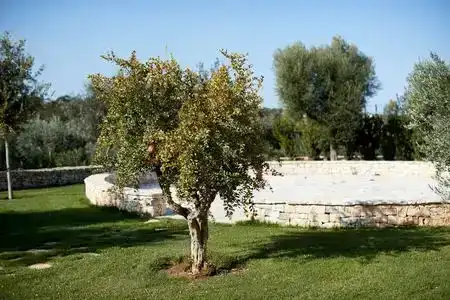 Masseria Grieco - 6