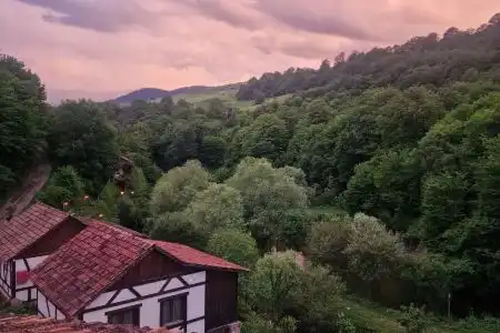 Dilijan Nature Cottage - 25