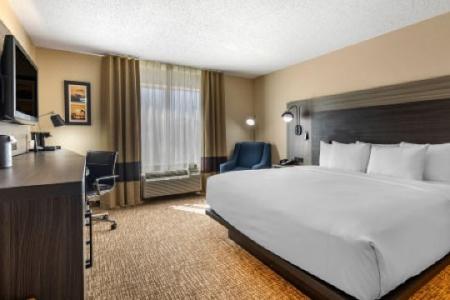 Comfort Inn & Suites North Dallas-Addison - 9
