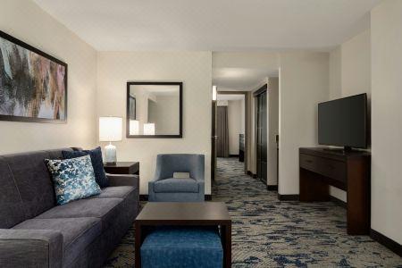 Embassy Suites by Hilton Atlanta at Centennial Olympic Park - 33