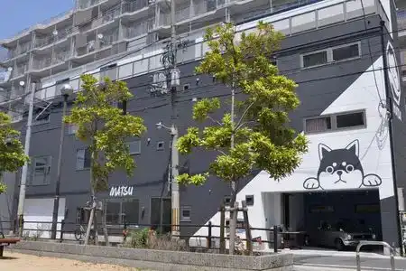 Guest House Matsu - Hostel - 4