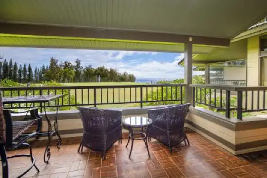 Kapalua Villas Maui - 344