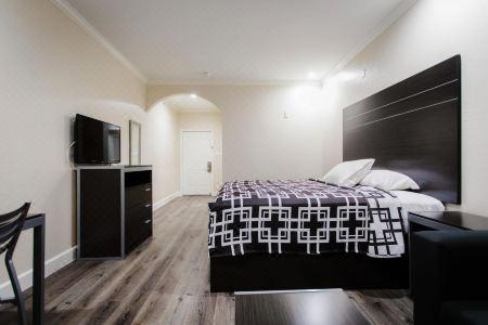 Palace Inn TX-249 - 60