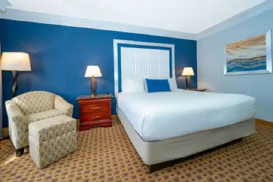 Rosen Plaza Orlando Convention Center - 13