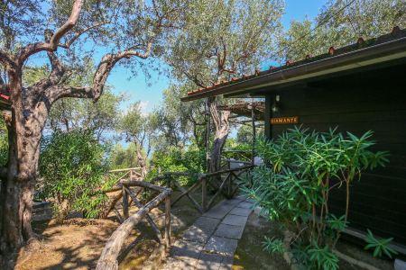 Village Camping Santa Fortunata - Campogaio - 83