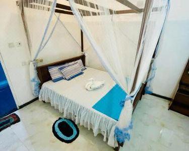 Moon Light Guest - 28