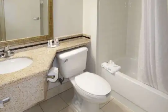 Comfort Inn Southwest Fwy at Westpark - 23