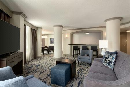 Embassy Suites by Hilton Atlanta at Centennial Olympic Park - 67