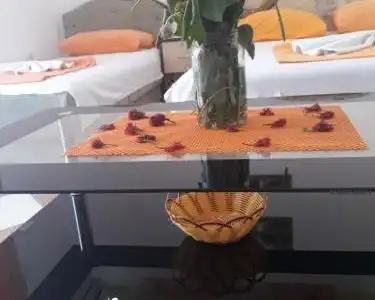 Guesthouse Oaza Emi - 58