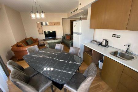 Sabi̇ha Gokcen İstanbul House - 96