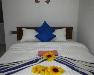 Moon Light Guest - 8