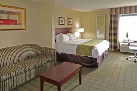 Comfort Inn Southwest Fwy at Westpark - 22