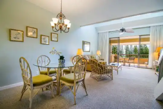 Kapalua Villas Maui - 19