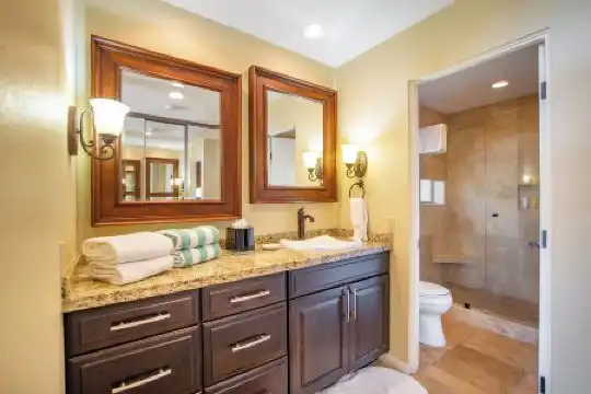 Kapalua Villas Maui - 265