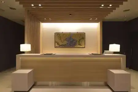 First Cabin Kansai Airport - 2