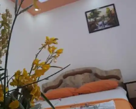 Guesthouse Oaza Emi - 59